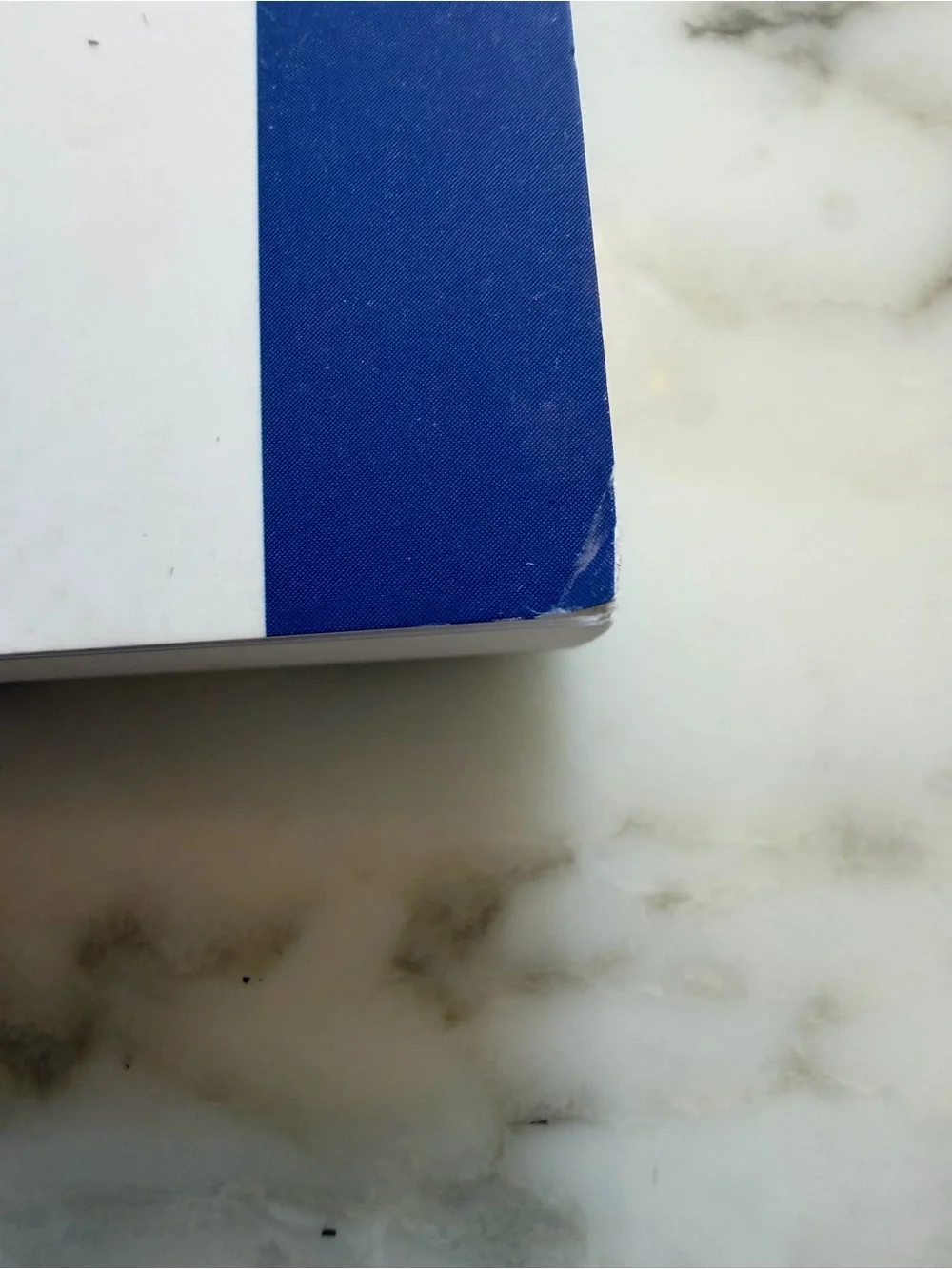 NWT Denik Classic Layflat Lined Notebook Crab Blue Stripe Journal